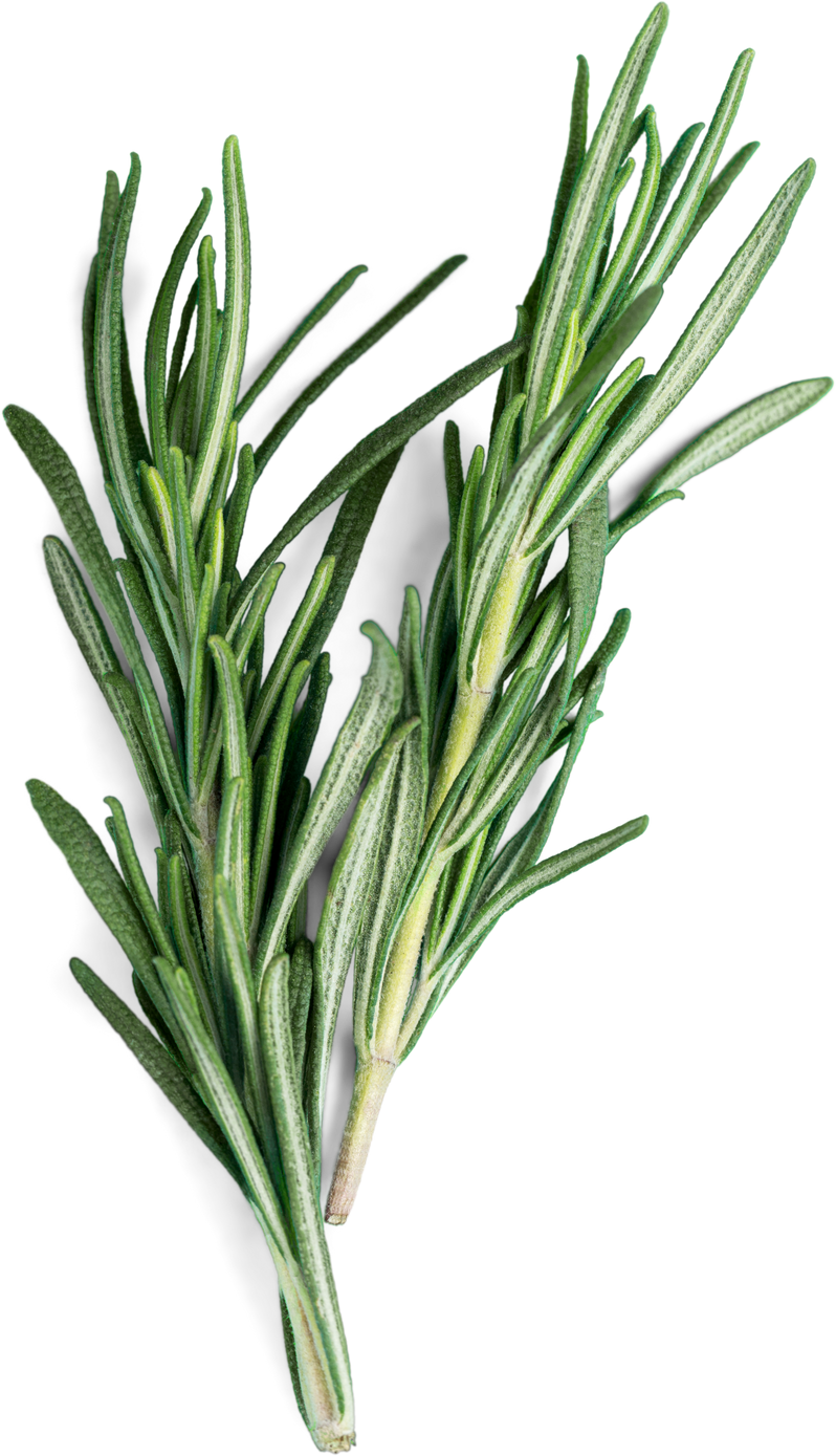 Rosemary.