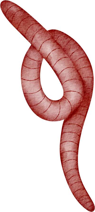 watercolor earthworm